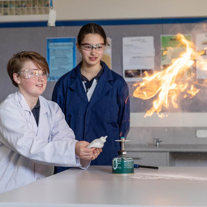 students conducting chemistry experiment